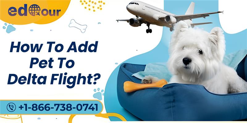 add pet to Delta flight