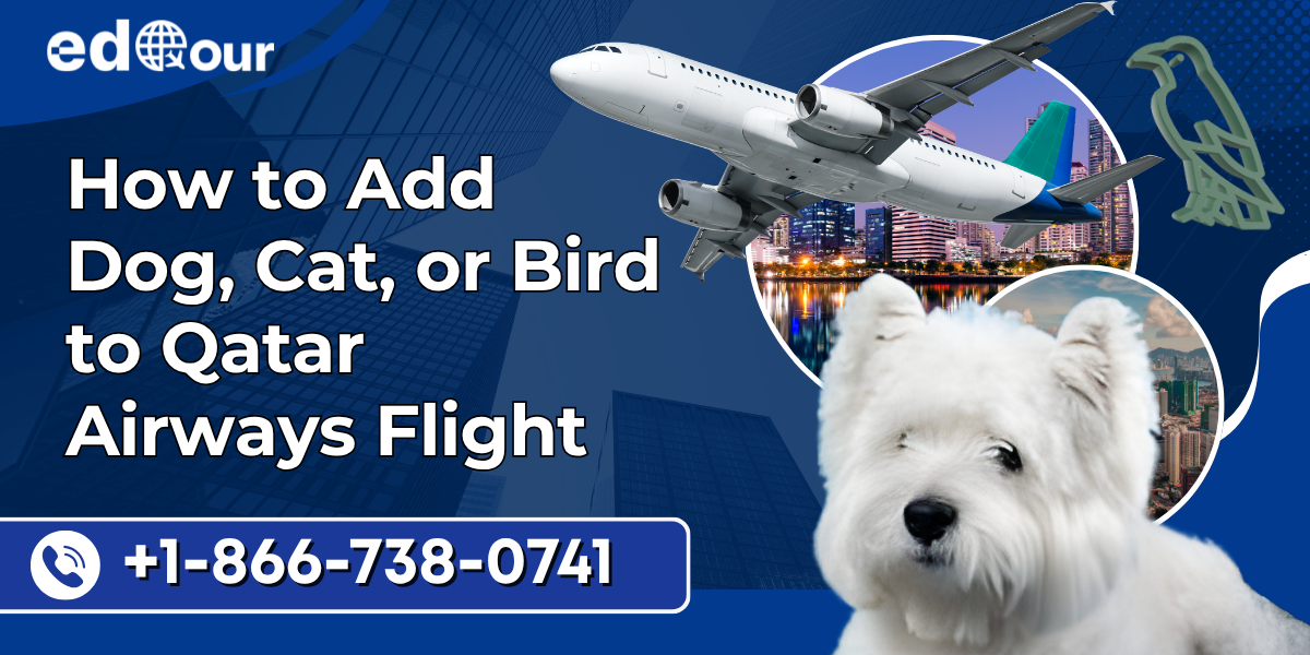 qatar airways pet policy