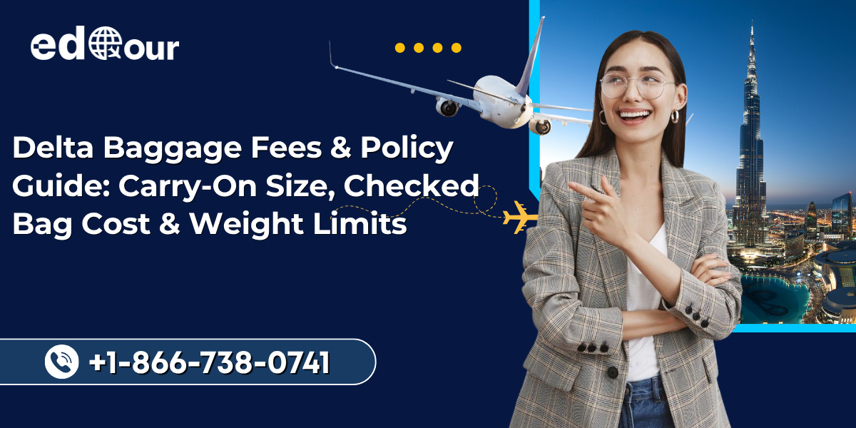 Delta airlines baggage policy